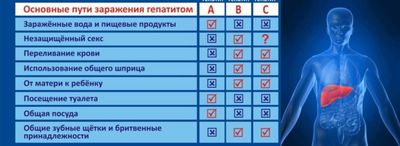 Пути заражения гепатитом С