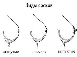 Виды сосков