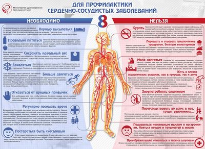 Профилактика сердечно-сосудистых заболеваний
