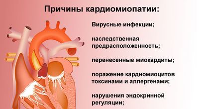 Причины патологии