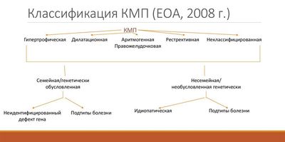 Классификация КМП
