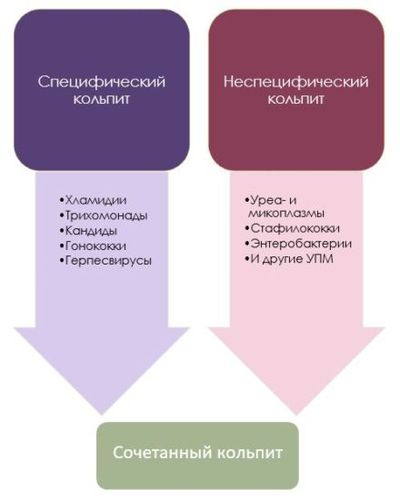 кольпит при беременности