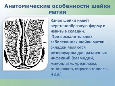 кольпит