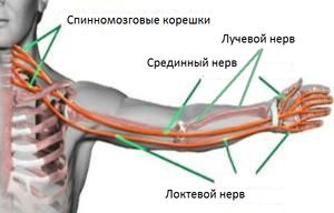 Почему при остеохондрозе немеют руки по ночам