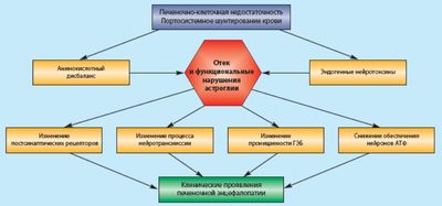 Печеночная энцефалопатия при портальной гипертензии