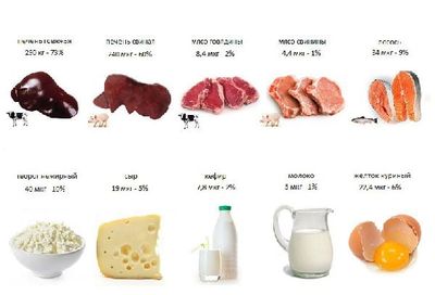 содержание фоливой кислоты в продуктах
